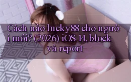 Cách nào lucky88 cho người mới (2026) iOS 14, block và report