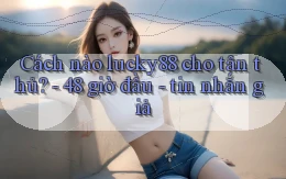 Cách nào lucky88 cho tân thủ   48 giờ đầu   tin nhắn giả