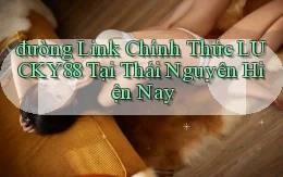 đường link chính thức lucky88 tại Thái Nguyên hiện nay