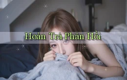 Hoàn trả Phản hồi