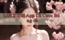 lucky88 app cá cược bóng đá
