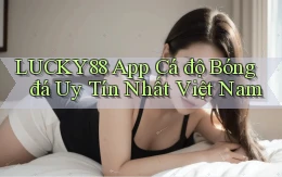 lucky88 app cá độ bóng đá uy tín nhất việt nam