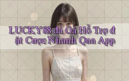 lucky88  đá gà hỗ trợ đặt cược nhanh qua app
