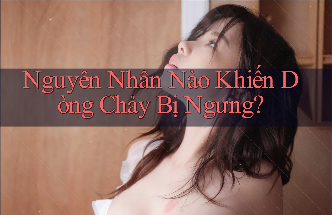 Nguyên Nhân Nào Khiến Dòng Chảy Bị Ngưng?