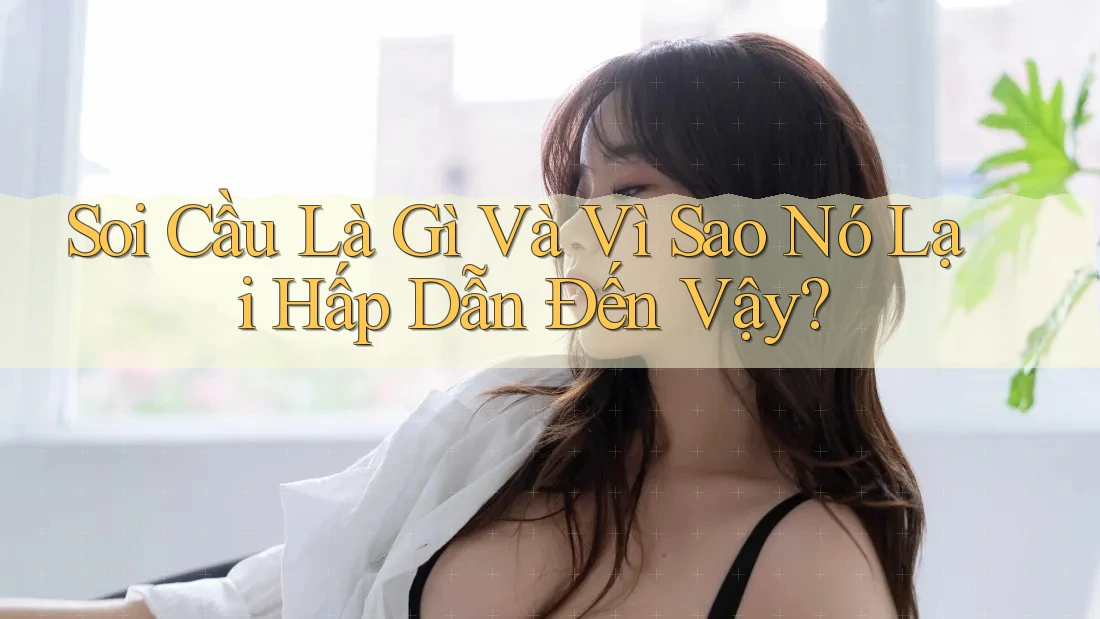Soi Cầu Là Gì Và Vì Sao Nó Lại Hấp Dẫn Đến Vậy?