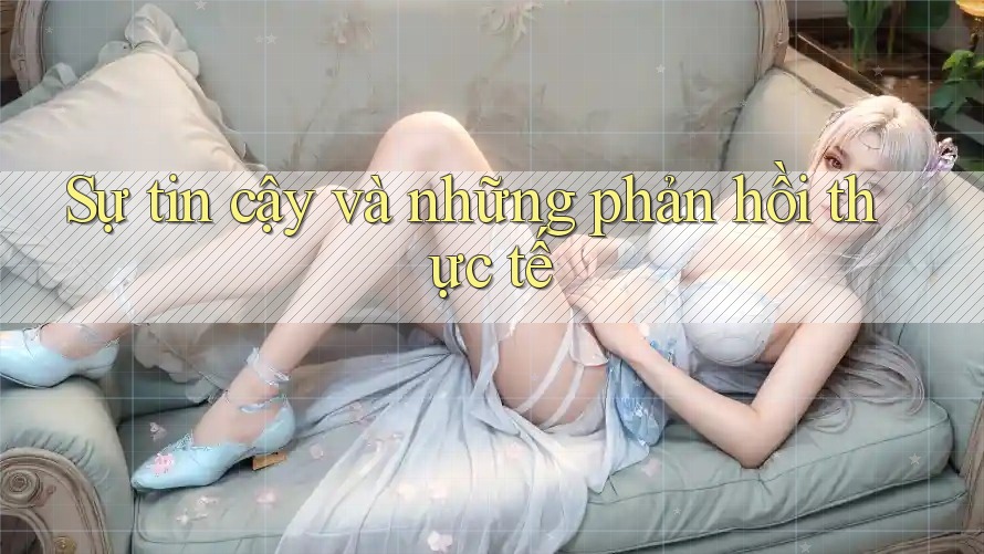 Sự tin cậy và những phản hồi thực tế Sự tin cậy và những phản hồi thực tế