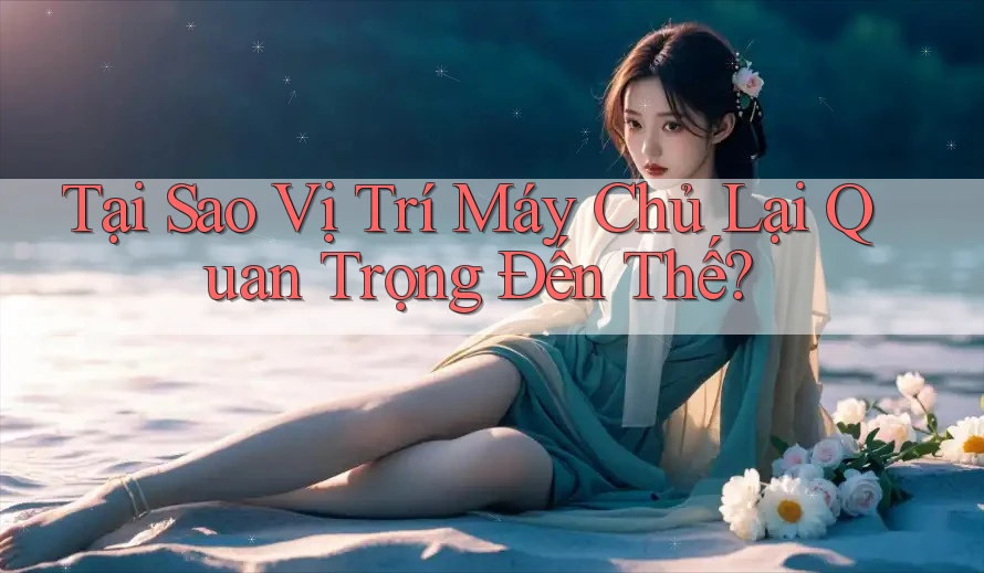 Tại Sao Vị Trí Máy Chủ Lại Quan Trọng Đến Thế?
