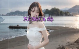 Xổ số Cá độ