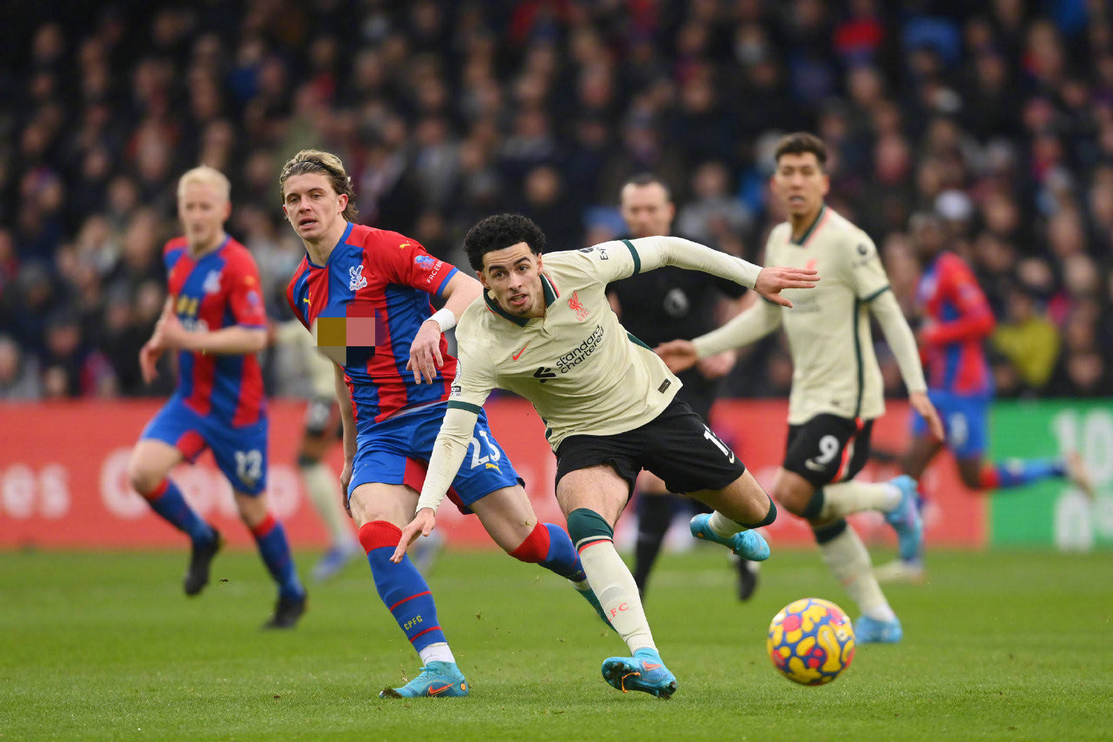 我们提供了 我们提供了